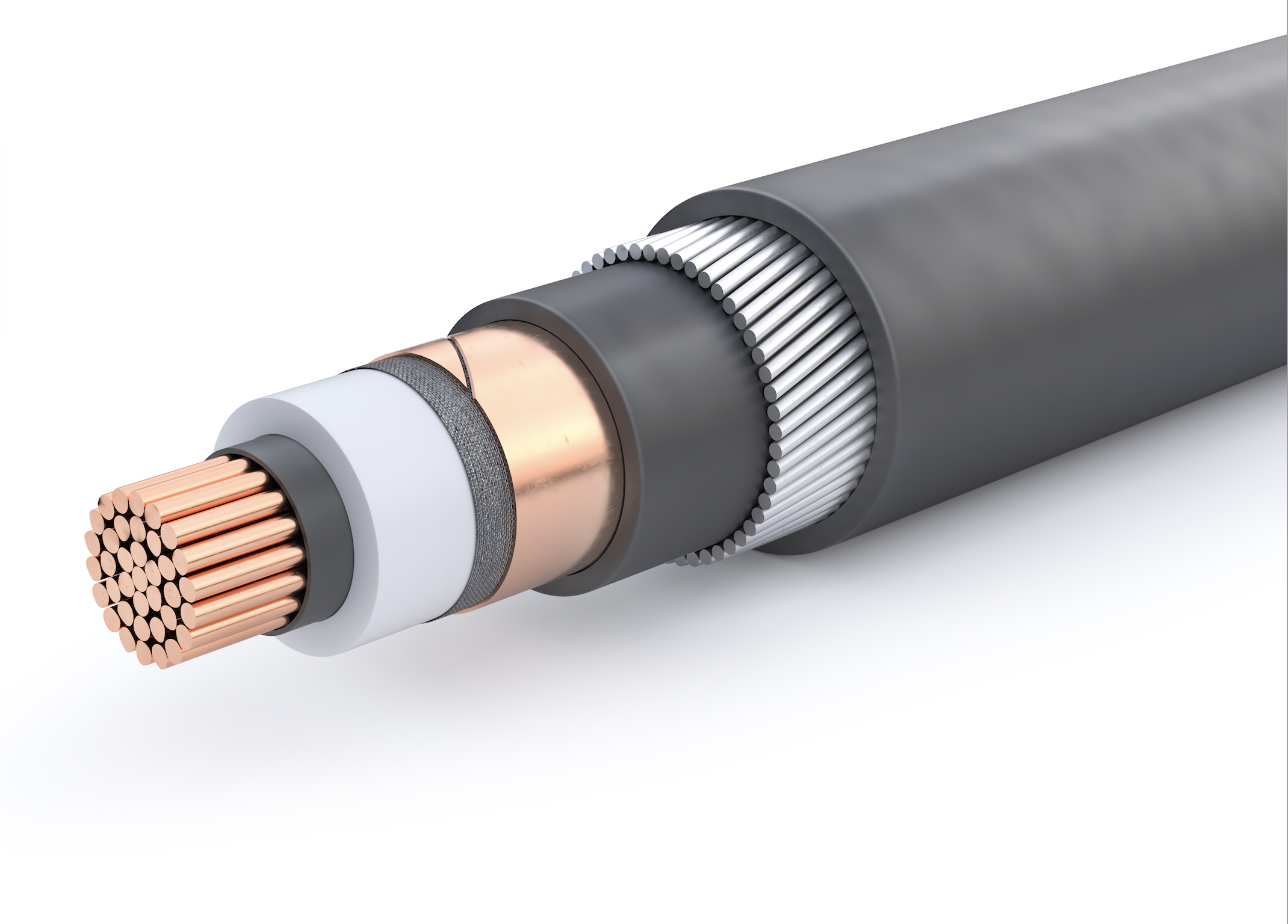 Low Voltage Switch with integrated GFI relay